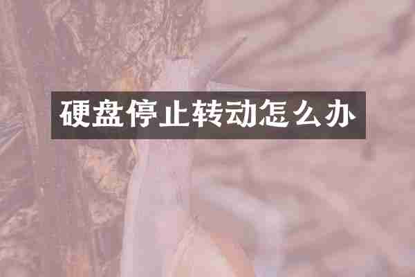 硬盘停止转动怎么办