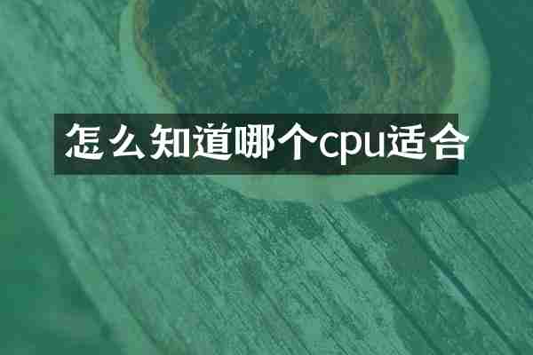 怎么知道哪个cpu适合
