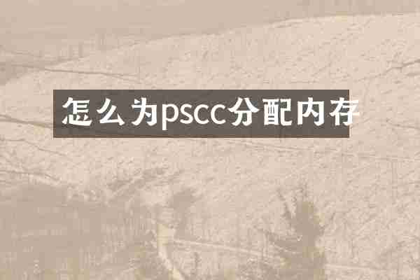 怎么为pscc分配内存
