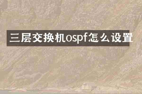 三层交换机ospf怎么设置