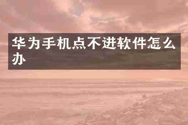 华为手机点不进软件怎么办