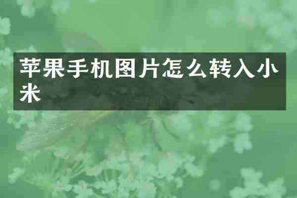 苹果手机图片怎么转入小米