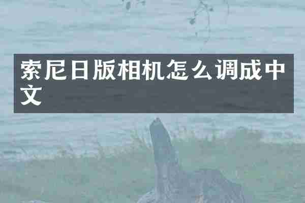 日版相机怎么调成中文