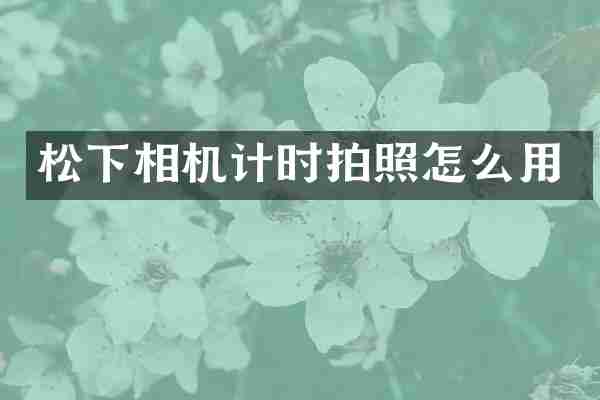 相机计时拍照怎么用