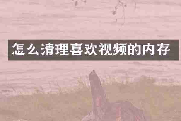 怎么清理喜欢视频的内存