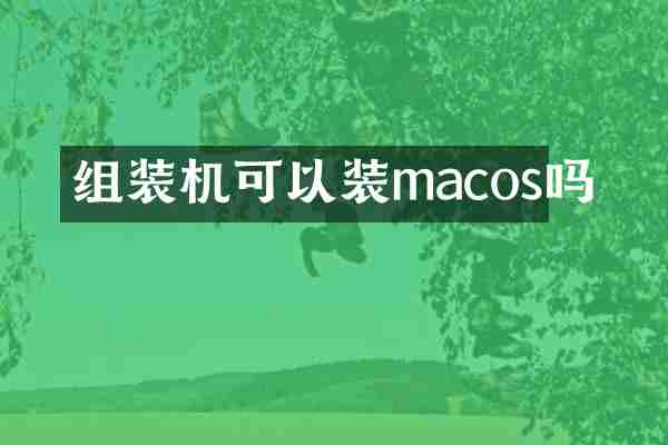 组装机可以装macos吗