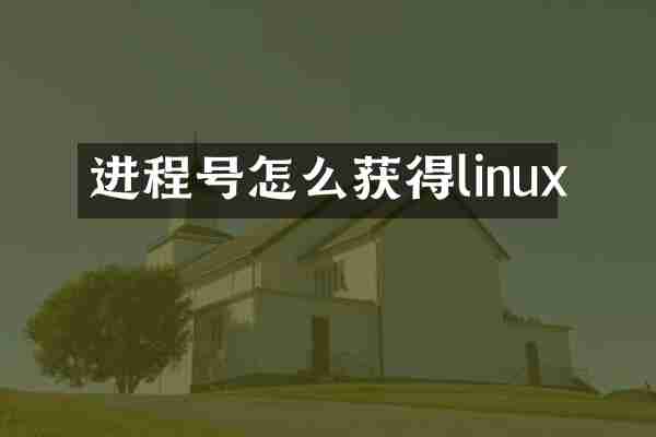 进程号怎么获得linux
