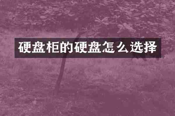 硬盘柜的硬盘怎么选择