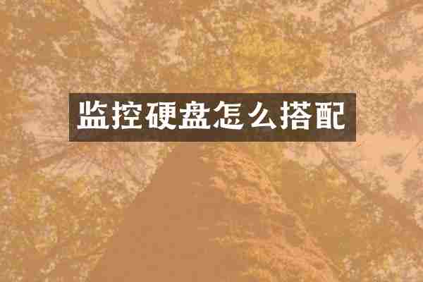 监控硬盘怎么搭配