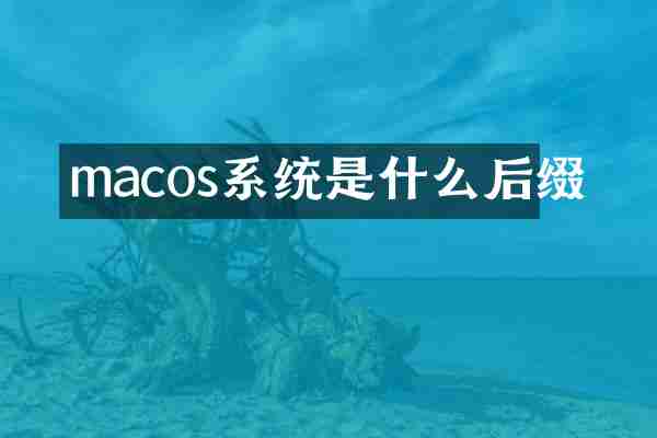 macos系统是什么后缀