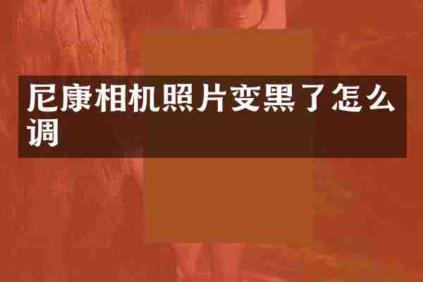 尼康相机照片变黑了怎么调