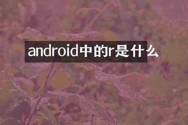 android中的r是什么