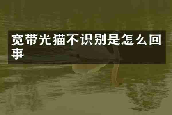 宽带光猫不识别是怎么回事