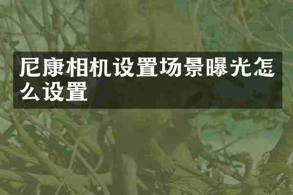 尼康相机设置场景曝光怎么设置