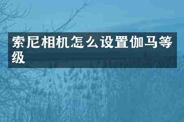 索尼相机怎么设置伽马等级