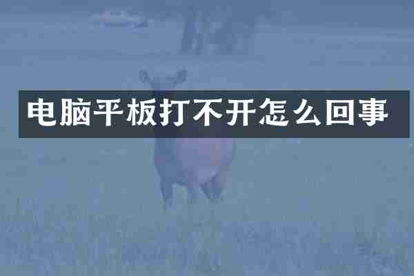 电脑平板打不开怎么回事