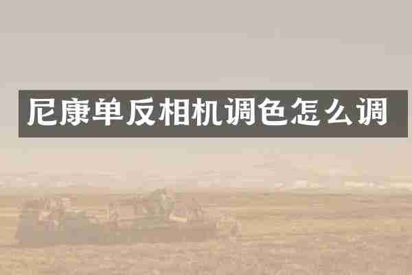 尼康单反相机调色怎么调