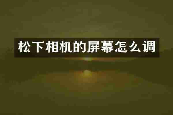 松下相机的屏幕怎么调