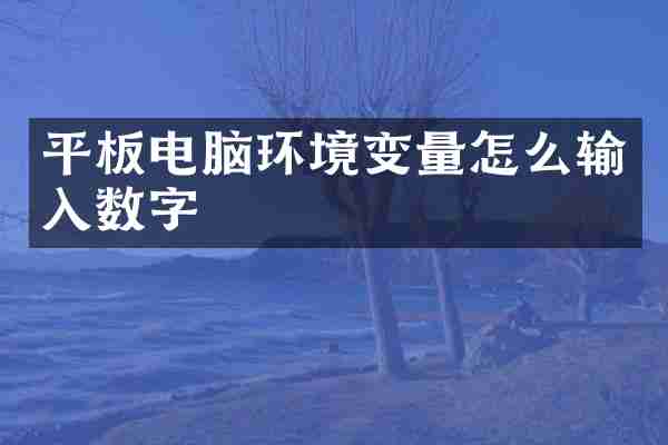 平板电脑环境变量怎么输入数字