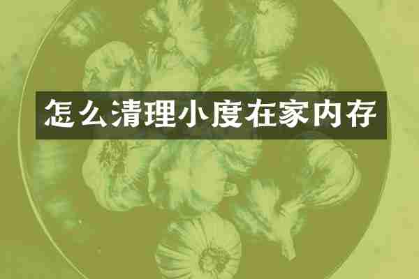 怎么清理小度在家内存