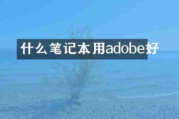 什么笔记本用adobe好