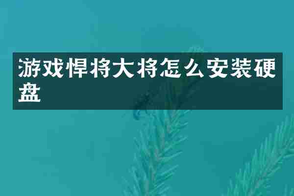 游戏悍将大将怎么安装硬盘