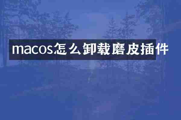 macos怎么卸载磨皮插件