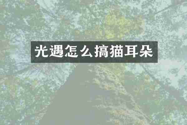 光遇怎么搞猫耳朵