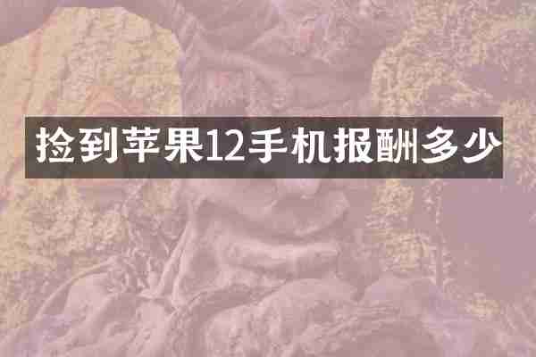 捡到苹果12手机报酬多少