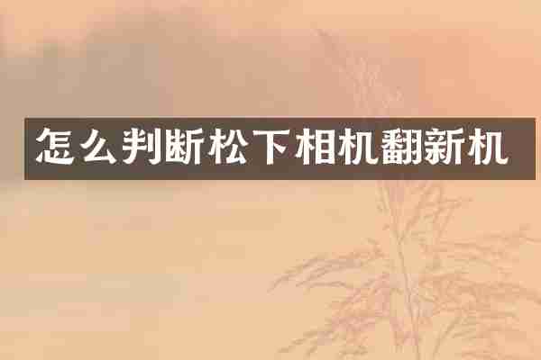 怎么判断松下相机翻新机