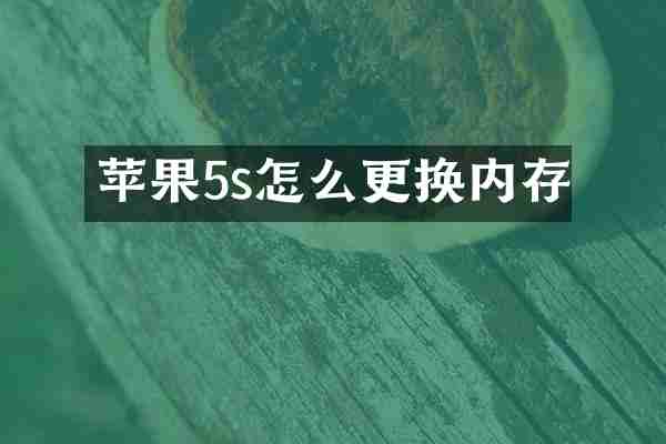 苹果5s怎么更换内存