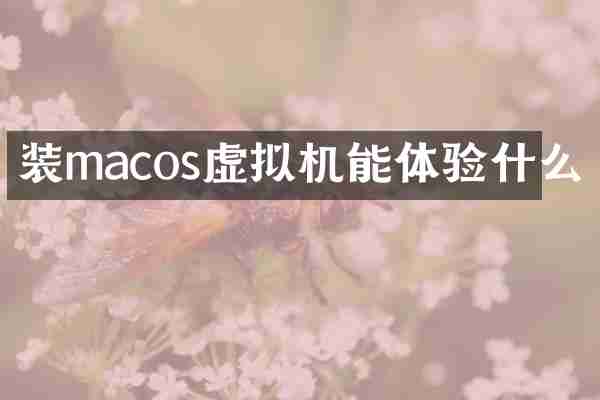装macos虚拟机能体验什么