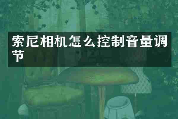 相机怎么控制音量调节