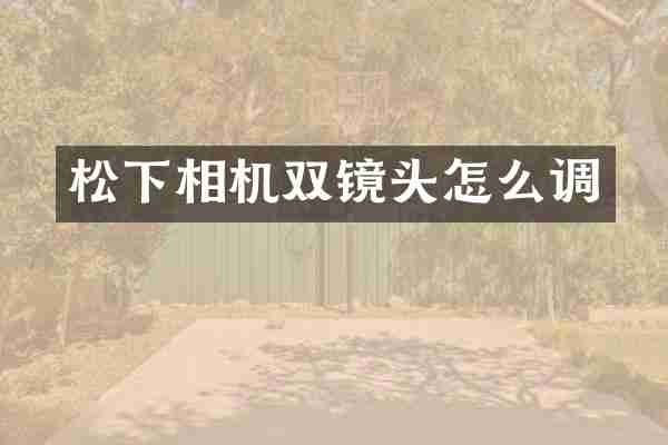 松下相机双镜头怎么调