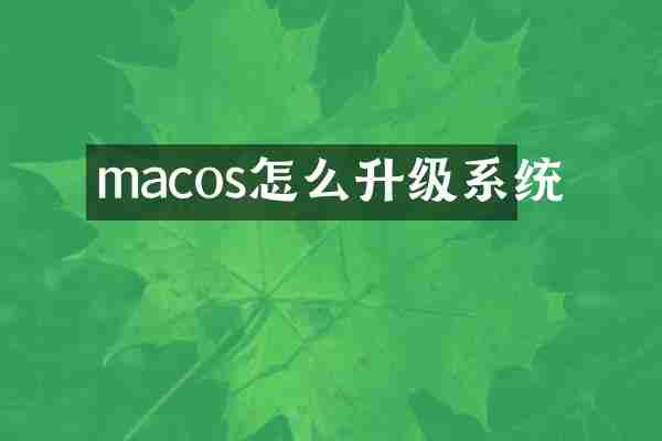macos怎么升级系统