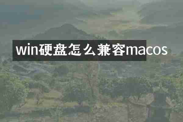 win硬盘怎么兼容macos
