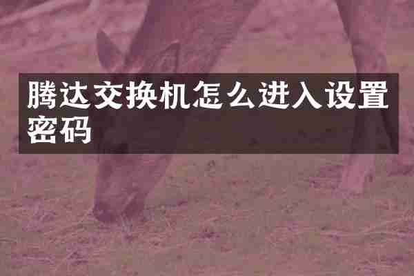 腾达交换机怎么进入设置密码