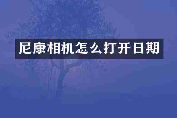 尼康相机怎么打开日期