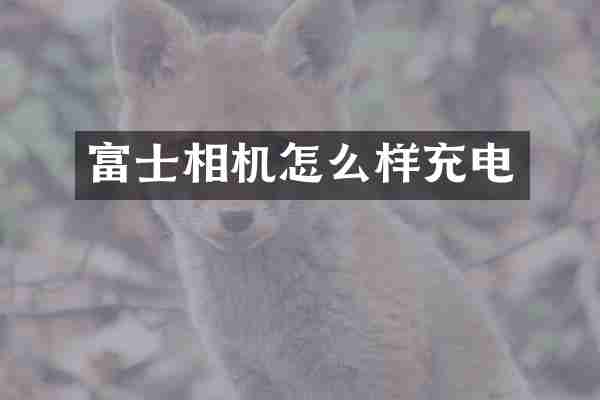 富士相机怎么样充电