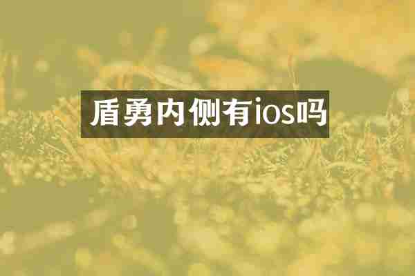 盾勇内侧有ios吗