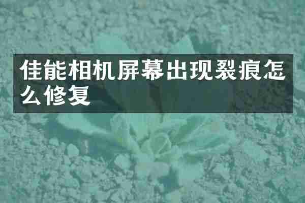 佳能相机屏幕出现裂痕怎么修复