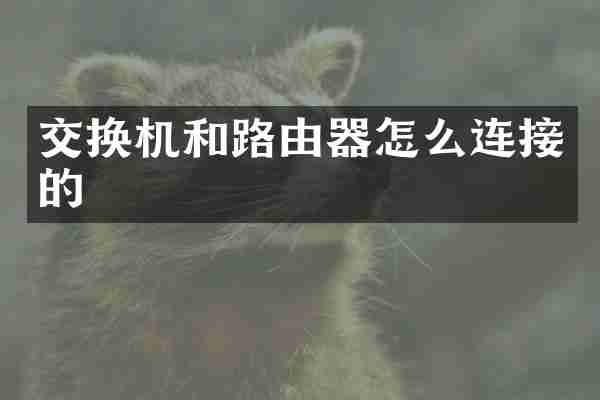 交换机和路由器怎么连接的