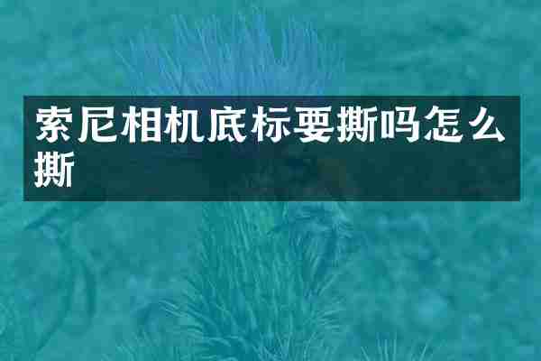 索尼相机底标要撕吗怎么撕