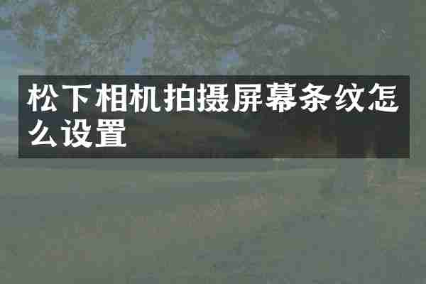 松下相机拍摄屏幕条纹怎么设置