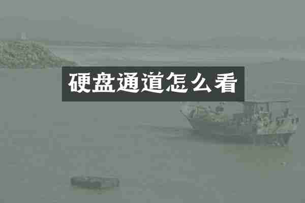 硬盘通道怎么看