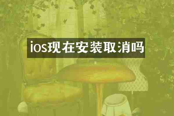 ios现在安装取消吗