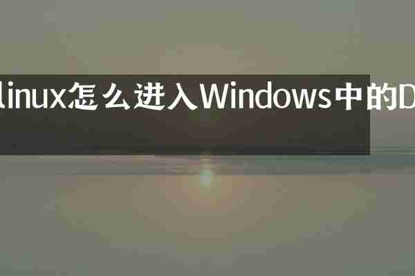 linux怎么进入Windows中的D盘