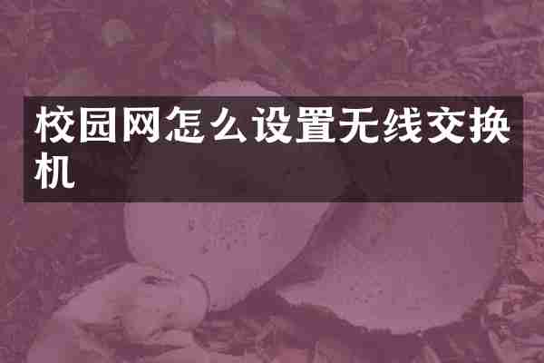 校园网怎么设置无线交换机