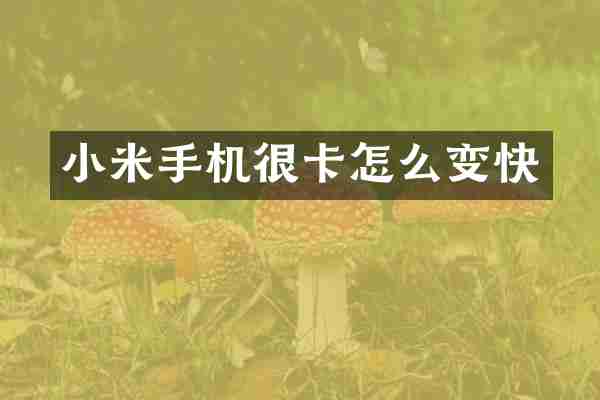 小米手机很卡怎么变快