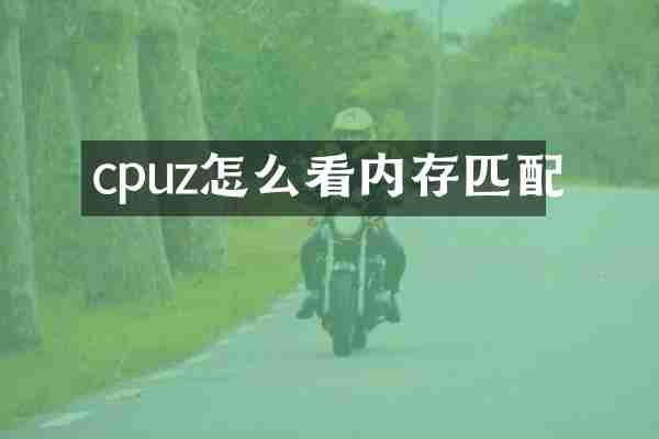cpuz怎么看内存匹配